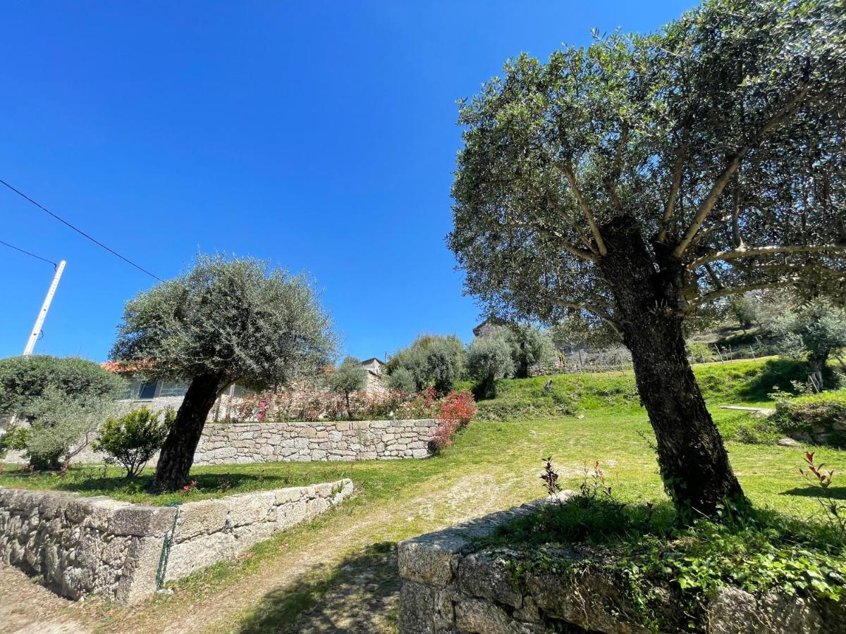 Casa Botica - Geres Country House Terras de Bouro Dış mekan fotoğraf